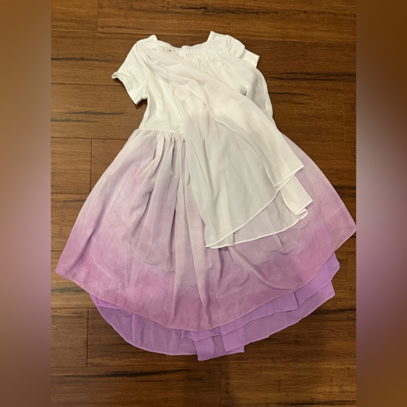 Taylor Joelle Disney Elsa with cape size 4 Ombré Layered Dress HTF - Picture 4 of 4